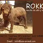 ROKKO Mallorca