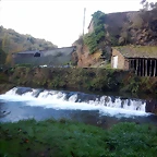 DSCN4051
