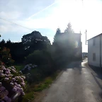 DSCN4449