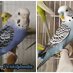 FB_IMG_1538555982637