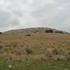 SAM_1080
