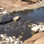 Arroyo contaminado en Navas