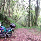 DSCN6268