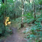 P1010230