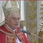 ppbxvi