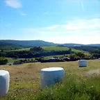 DSCN2396
