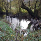 DSCN0568