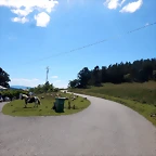 DSCN3159