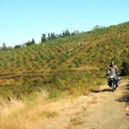 DSCN7700