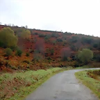 DSCN2684