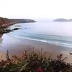 viveiro