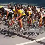 Perico-Tour1985-Hinault-Lemond-Anderson-Kelly