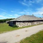 DSCN8318