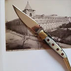 SAM_1455