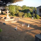 DSCN7232