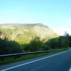 DSCN8768