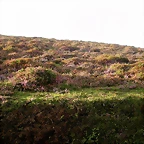 DSCN8448