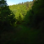 DSCN2089