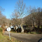 DSCN9056