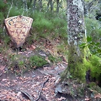 DSCN07016'5