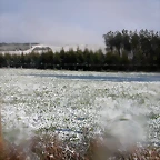 DSCN7477