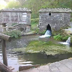 DSCN6773