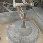 DSCN6777