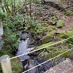 DSCN1379