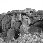 76-IMG_1456