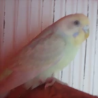 SAM_0476