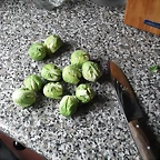 DSCF1199