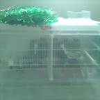 2013-02-03 09.28.53
