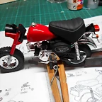 DSCN5665