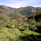 DSCN0998