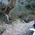 DSCN2973