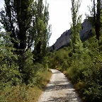 DSCN6522