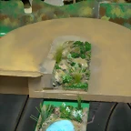 Codos elevados 006