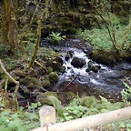 DSCN0723