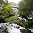 DSCN5774