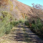 DSCN6854