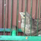 IMAG0736