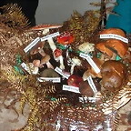 DSCN4503