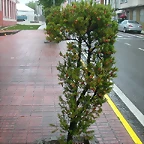 DSCN4481