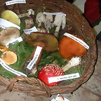 DSCN4497