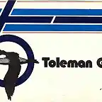 unbranded-toleman-group-logo-sticker-13cm-x-7cm-