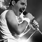 freddie-mercury-3