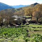 DSCN9007