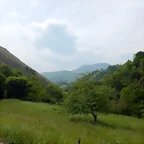 DSCN0223