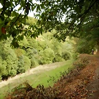DSCN9746