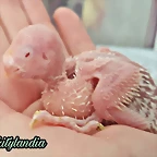 FB_IMG_1540209734908